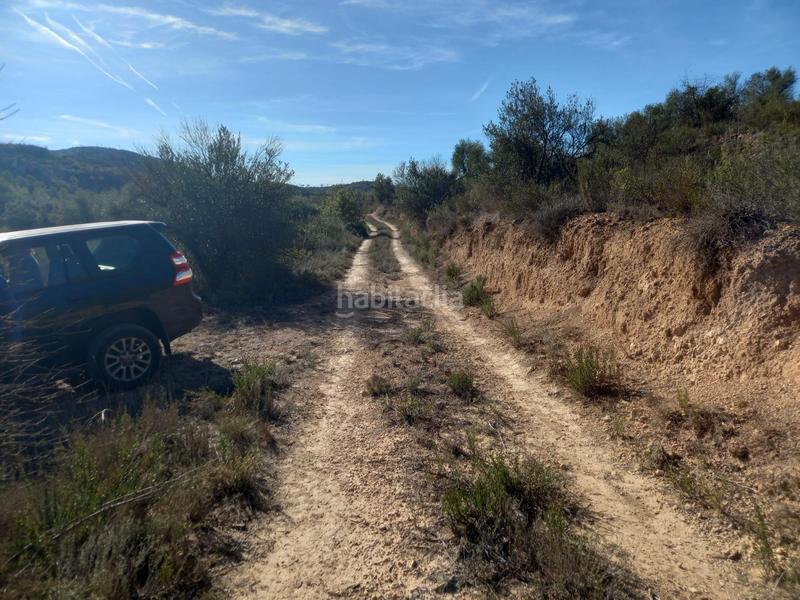 Foto 58f75a7c-4c5a-460b-ae34-04b3aa2b6a0f. Finca rústica oportunidad finca rustica con agua de 18 has en Flix