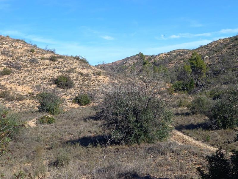 Foto 5dd270fd-6d00-4eee-b80b-4d8411c21b47. Finca rústica oportunidad finca rustica con agua de 18 has en Flix