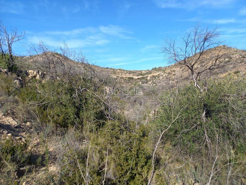 Foto a8ccf748-3e63-44bb-89a1-3d51df5dd3d2. Finca rústica oportunidad finca rustica con agua de 18 has en Flix