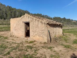 Finca rústica a Ginestar. Oportunidad esplendida finca de regadio en venta en ginestar  ri