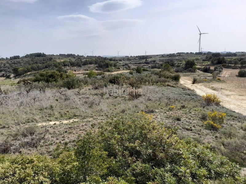 Foto 15a34dec-ece4-491a-9156-e14eeb25f982. House in Batea