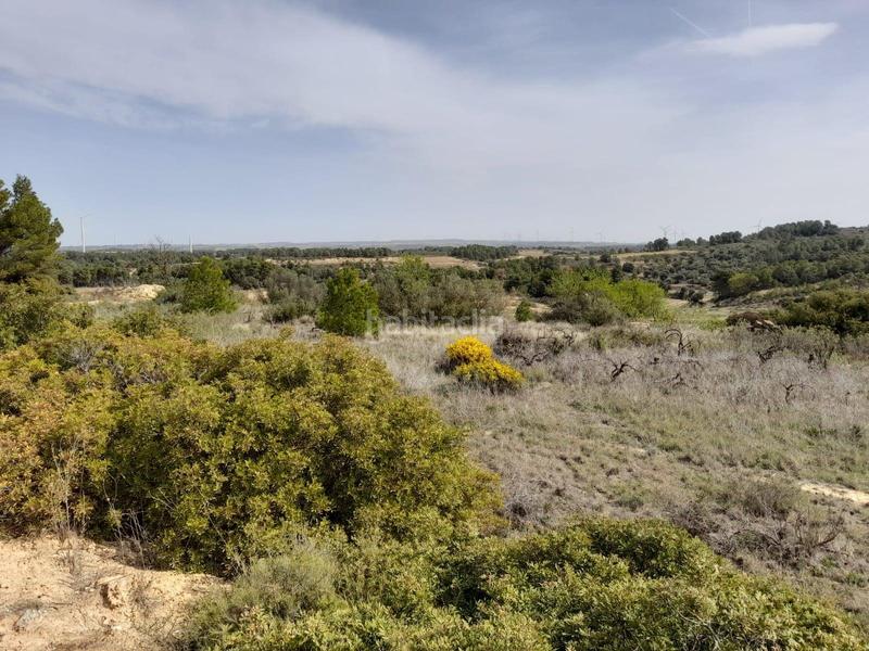 Foto 587908c9-9acf-4dcf-bacc-0feca0aef42b. House in Batea