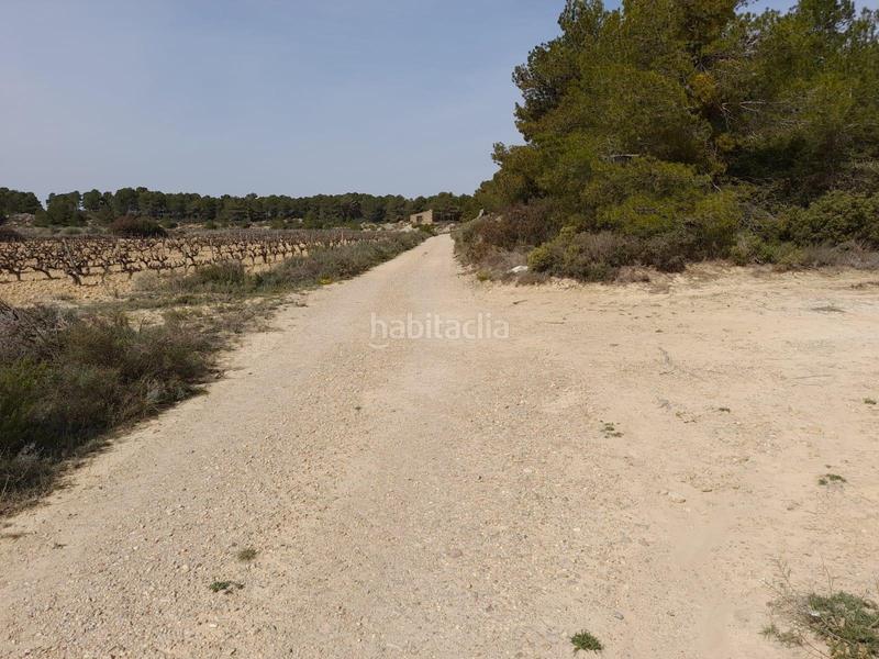 Foto 81f9ecd1-8177-466f-89c7-d79de3384e66. House in Batea