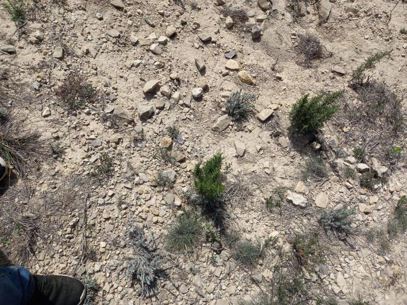 Foto 91cb20b9-dbb4-4ce0-ba70-556d2d4aae9c. House in Batea