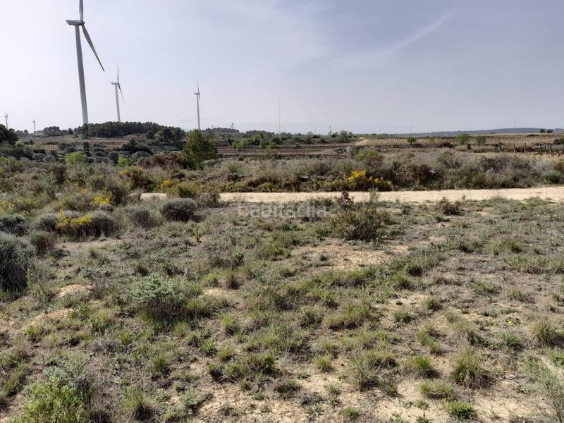 Foto 9893bb6b-fed9-4ce9-8ed2-0f3a380678f8. House in Batea