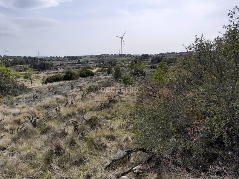 Foto c1deb993-9f23-4668-8485-713df0aebec7. House in Batea