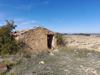Rural plot in Batea. Oportunidad finca de regadio en batea con caseta a restaurar