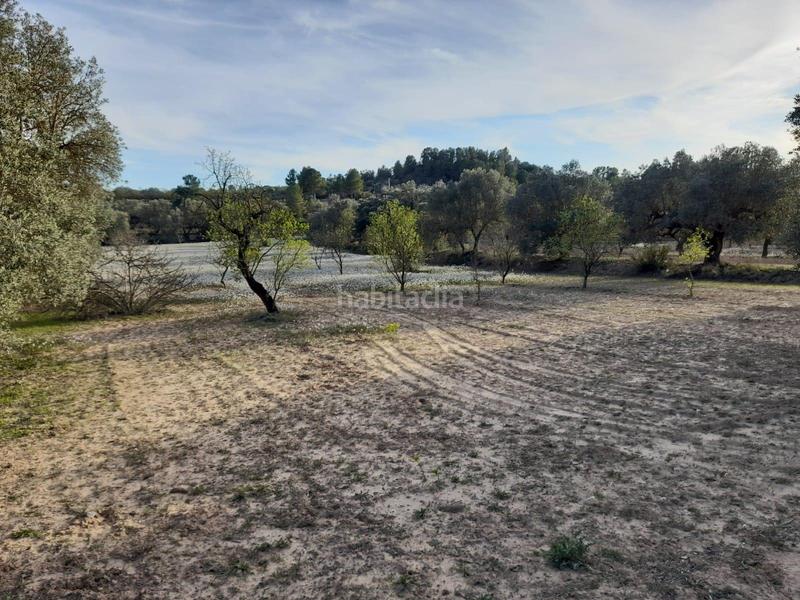 Foto 0ac4a25d-b1ae-4cb4-a522-1cb051087833. Finca rústica ocasion fi8nca rustica de 0,6 has con camino asfaltado cerca de asco en Ascó