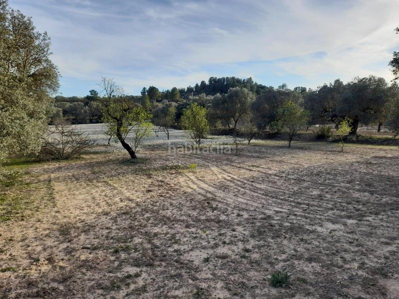 Foto 6b250a6b-3b96-4db6-a4b2-afffa2a2ac39. Finca rústica ocasion fi8nca rustica de 0,6 has con camino asfaltado cerca de asco en Ascó