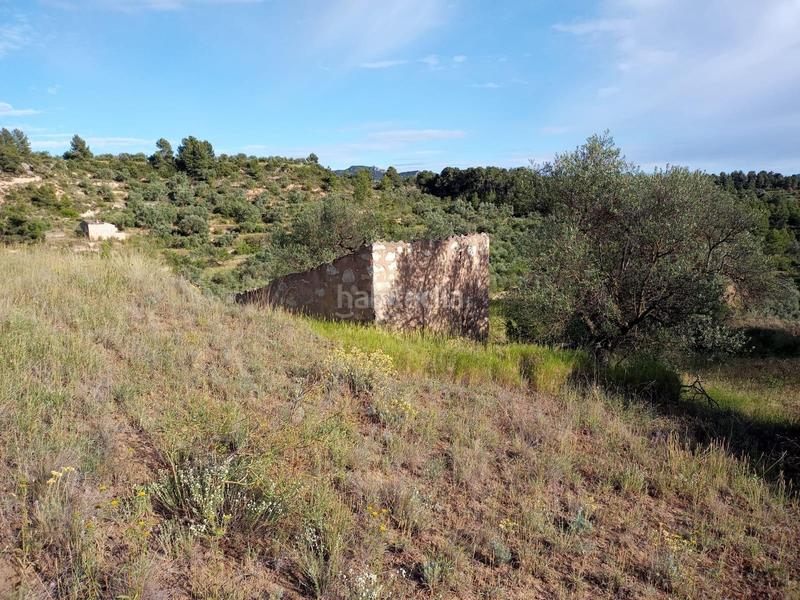 Foto 2d276612-5694-4ea0-b3ab-399ab2729210. Propriété dans Vinebre