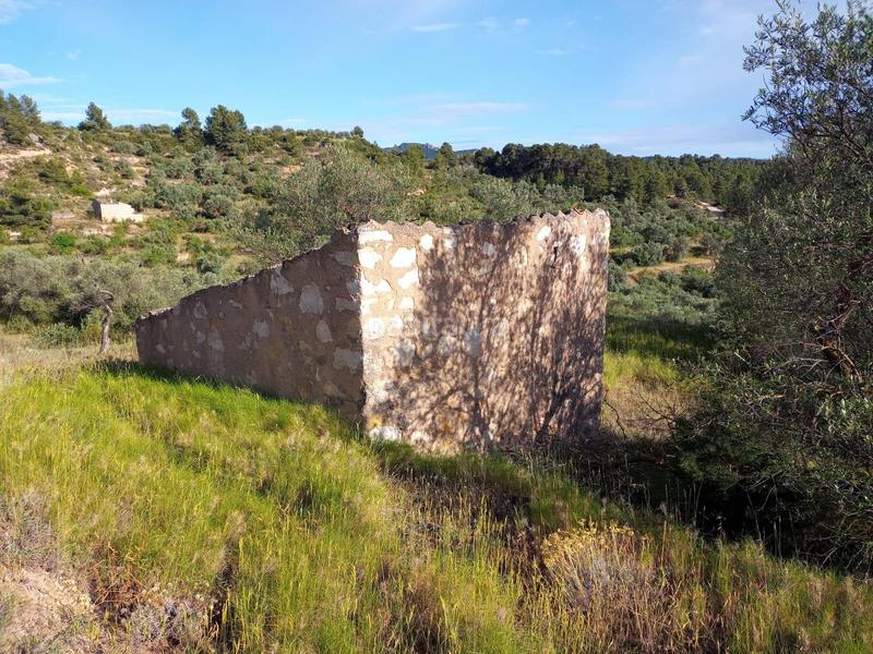 Foto 43c506fe-c006-45ef-88fb-3ea8725dc0e4. Propriété dans Vinebre