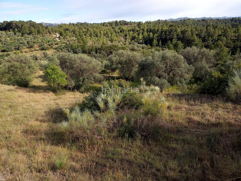 Foto 8f704867-013e-49e9-bf90-a98fad86f249. Propriété dans Vinebre