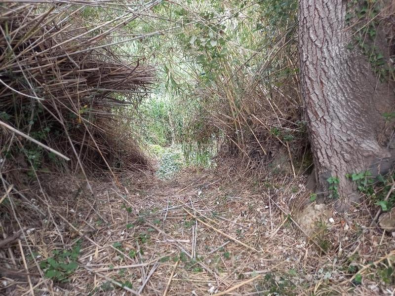 Foto 4bda86ca-6c60-466a-bdaa-4fa7377c723d. Terreno residencial oportunidad finca de regadio con acceso directo al rio ebro. en Miravet