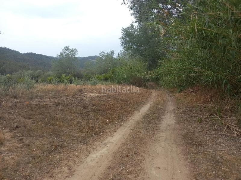 Foto 4d148f40-bdbf-458e-af04-b0e776b7632f. Terreno residencial oportunidad finca de regadio con acceso directo al rio ebro. en Miravet