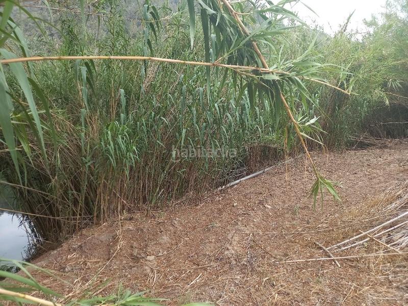 Foto 4f186e7d-3d59-4f35-8f92-fb5eca50df75. Terreno residencial oportunidad finca de regadio con acceso directo al rio ebro. en Miravet