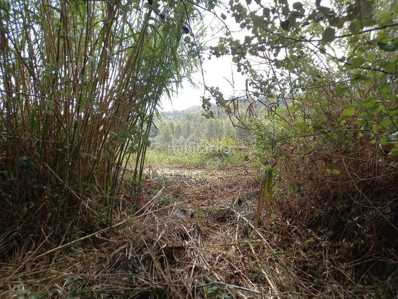 Foto 53bfd157-e18a-454c-9be1-7796a3148cfe. Terreno residencial oportunidad finca de regadio con acceso directo al rio ebro. en Miravet