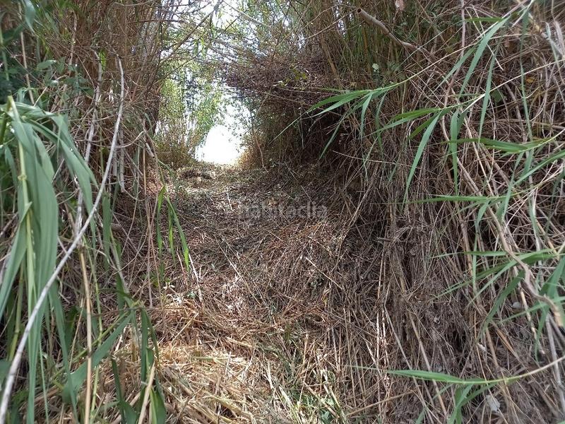 Foto e5620fed-0ca5-4f8e-b9a0-39201a465ef1. Terreno residencial oportunidad finca de regadio con acceso directo al rio ebro. en Miravet