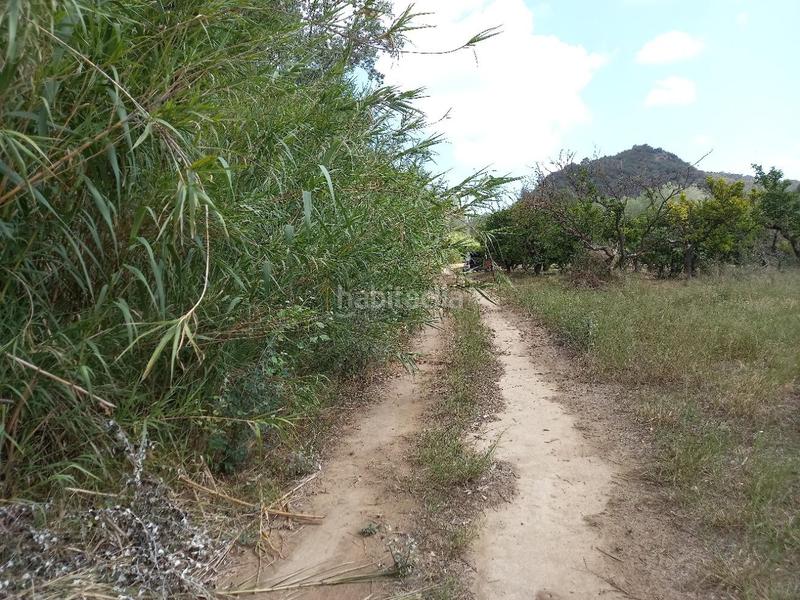 Foto eaead7bf-eecc-4f38-9975-509ed76997c8. Terreno residencial oportunidad finca de regadio con acceso directo al rio ebro. en Miravet