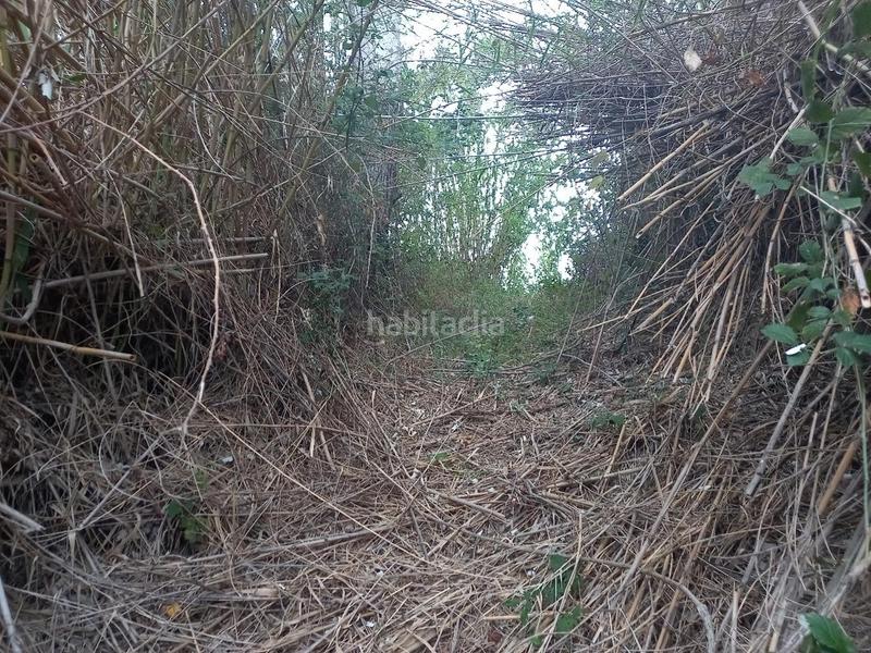 Foto eaf3a3dd-012e-43bd-b37c-e641df5385da. Terreno residencial oportunidad finca de regadio con acceso directo al rio ebro. en Miravet