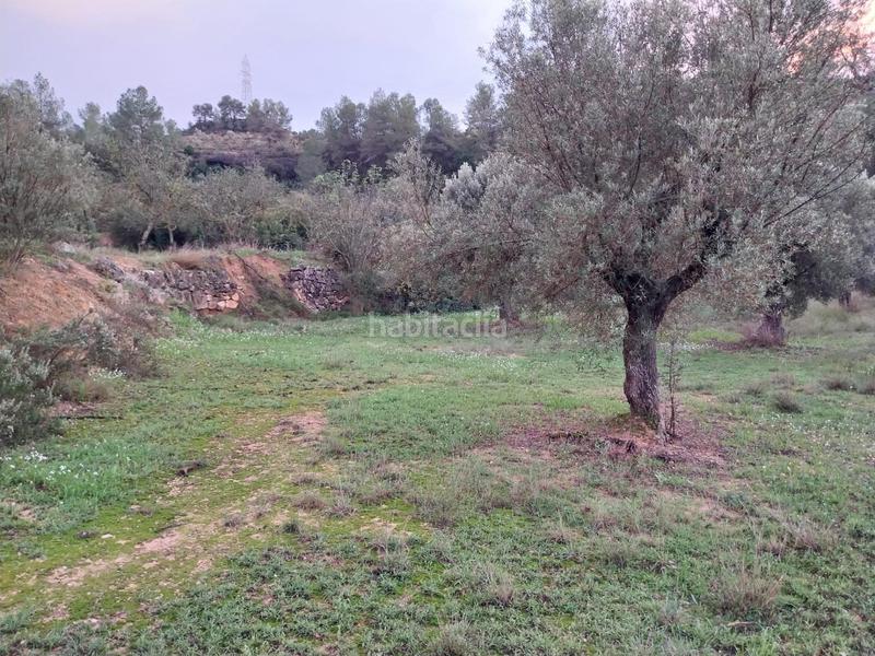 Foto 00557e27-c84e-49c2-b891-e7ec52c837f8. Finca rústica oportunidad finca rustica de ,2 has. en Vinebre