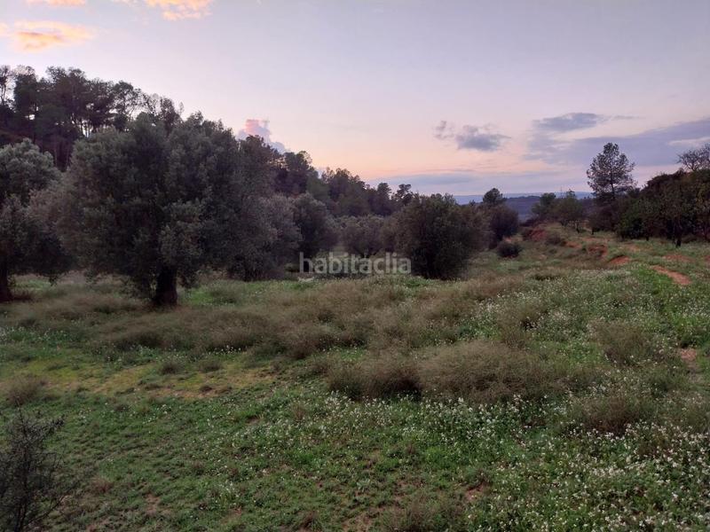 Foto 198ec12b-5e30-48f2-8624-c4c71f9f97f6. Finca rústica oportunidad finca rustica de ,2 has. en Vinebre