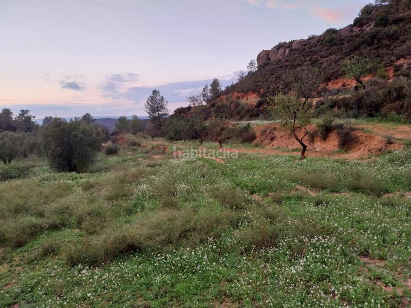 Foto 1a1ffbf0-3b09-4ca9-b3a4-e3e435533135. Finca rústica oportunidad finca rustica de ,2 has. en Vinebre