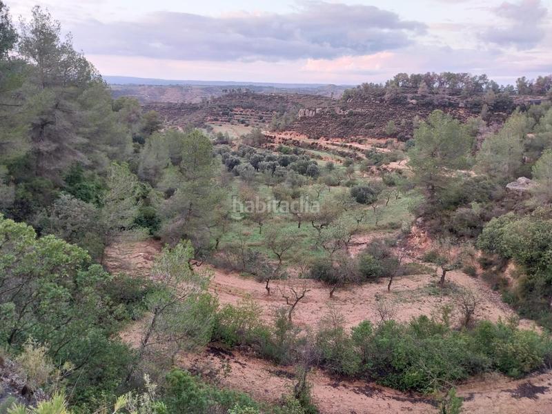 Foto 285a4aa4-136d-404c-aab1-98630c935fe7. Finca rústica oportunidad finca rustica de ,2 has. en Vinebre