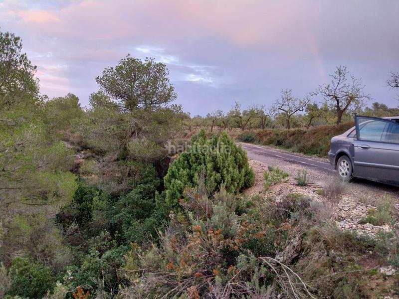 Foto 4c0828c5-abb9-4086-85ef-a3661470d5a2. Finca rústica oportunidad finca rustica de ,2 has. en Vinebre