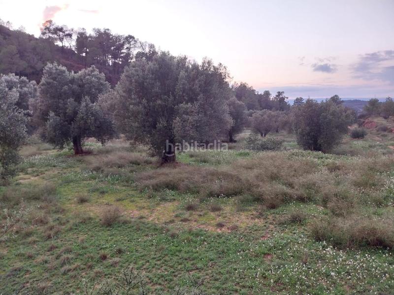 Foto 5e924c74-b665-4f54-8220-ffa2ac36de4b. Finca rústica oportunidad finca rustica de ,2 has. en Vinebre