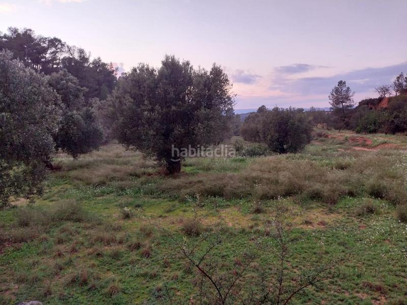Foto 8204f970-4daf-430b-9ce6-a4fec3aac16d. Finca rústica oportunidad finca rustica de ,2 has. en Vinebre