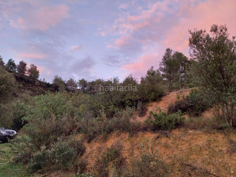 Foto 8974bd27-f4dd-44e9-b421-64952be0422b. Finca rústica oportunidad finca rustica de ,2 has. en Vinebre