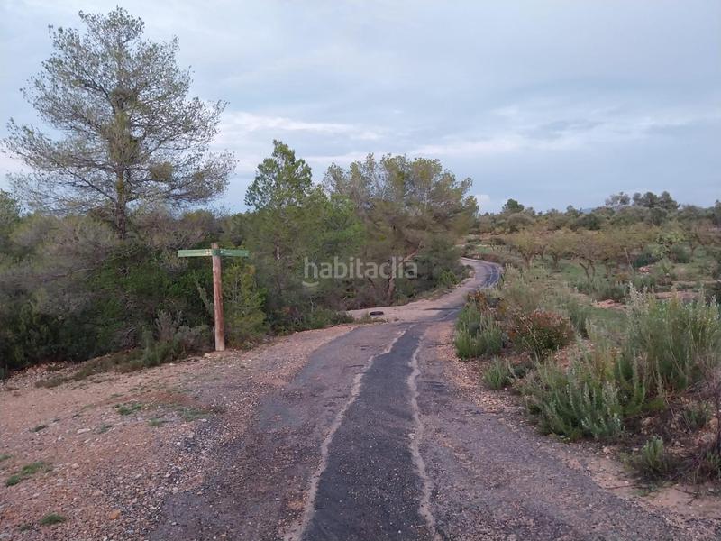 Foto 8f377db4-8f82-43d2-943b-54dfea8b1a76. Finca rústica oportunidad finca rustica de ,2 has. en Vinebre