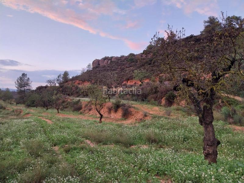 Foto b30691dc-c5f5-419f-9655-ecbbba9eb8cc. Finca rústica oportunidad finca rustica de ,2 has. en Vinebre