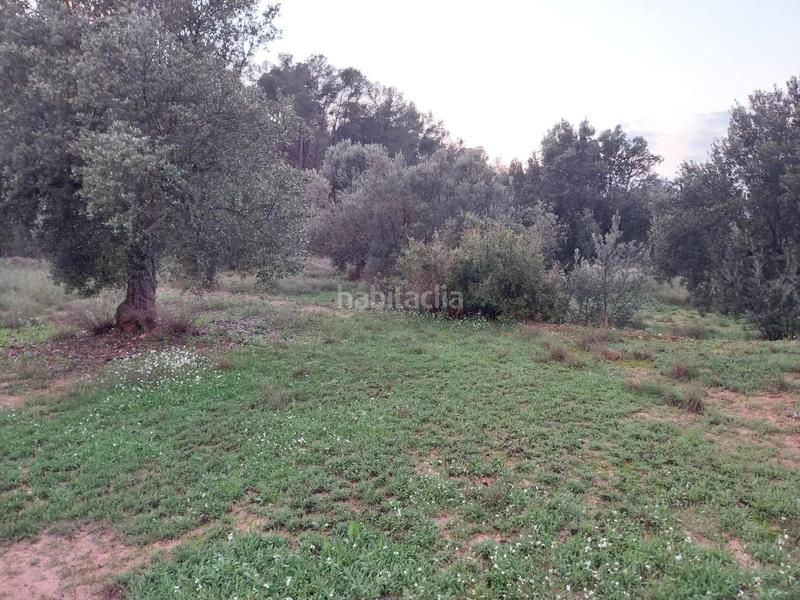 Foto bb864a21-412c-4c8f-91f6-191733ab7082. Finca rústica oportunidad finca rustica de ,2 has. en Vinebre