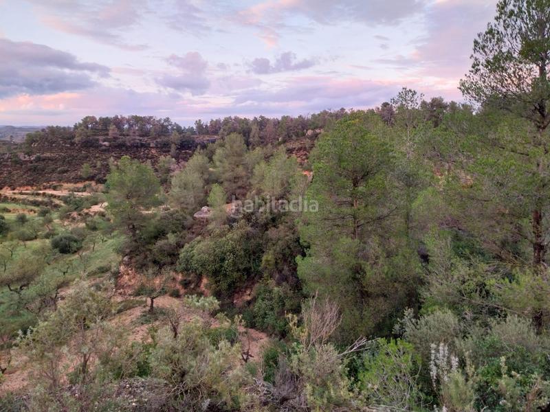 Foto e1d90606-49e0-4c26-aa7f-dcbd61d6dff7. Finca rústica oportunidad finca rustica de ,2 has. en Vinebre
