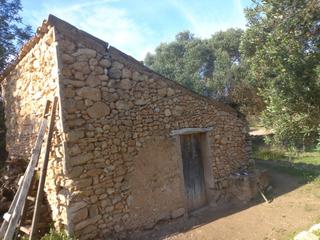 Finca rústica a Móra d´Ebre. Ocasioin finca rustica plantada de olivos en mora debre