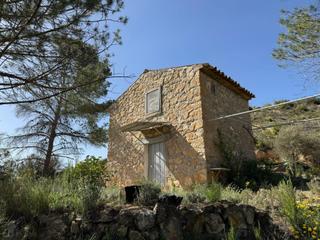Finca rústica a Vinebre. Ocasion finca rustica de 10 has. con masia de dos plantas acondi