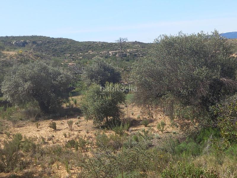 Foto 054a19ae-c2b4-43c8-9f23-173392d218cc. Propriété dans Vinebre