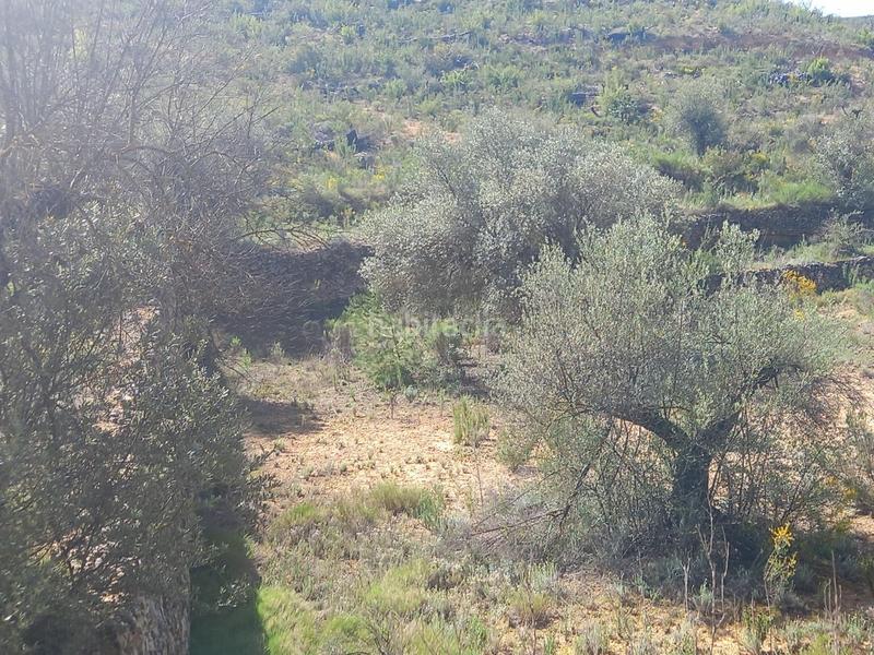 Foto 319daa5c-fc9c-4b53-ab56-45f92227ee0d. Propriété dans Vinebre