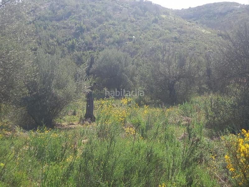 Foto 4e0487ba-517a-41a5-a90c-6a5ffe8a36cc. Propriété dans Vinebre