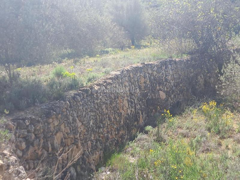 Foto 6317a6e5-c715-4e91-943e-d5d74a4c257c. Propriété dans Vinebre