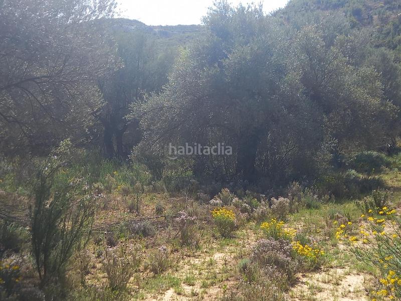 Foto aa86728b-6f3b-480b-9d8a-a048d7b1ec58. Propriété dans Vinebre