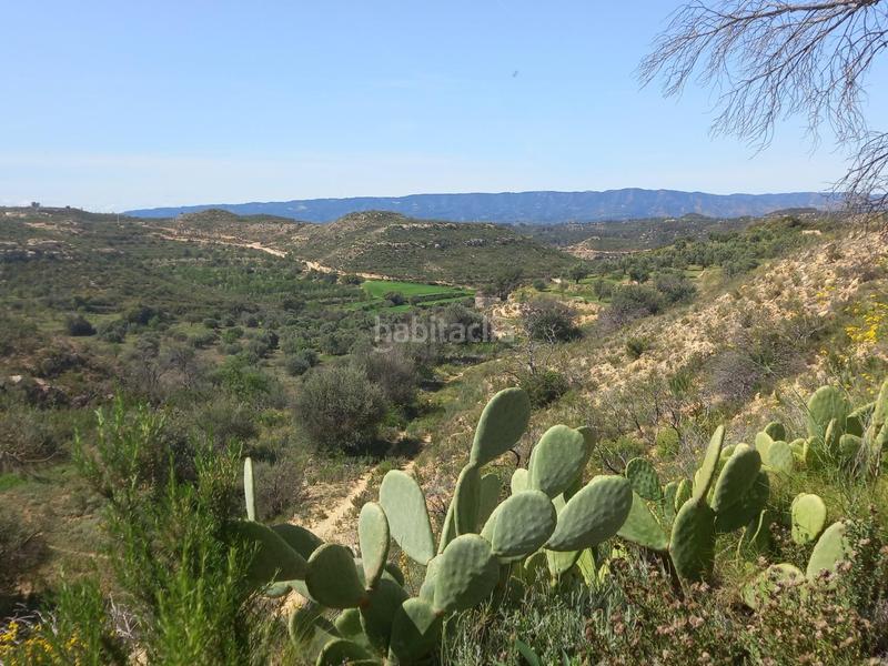 Foto ba0cdf6e-1c74-45c1-871c-80b948dfccae. Propriété dans Vinebre