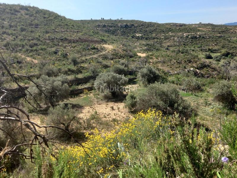 Foto d68c608e-7411-487c-a7d4-35db363b70d1. Propriété dans Vinebre