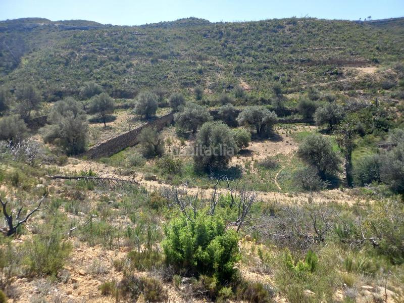 Foto e658f69a-4718-4072-bd82-2d614a588643. Propriété dans Vinebre