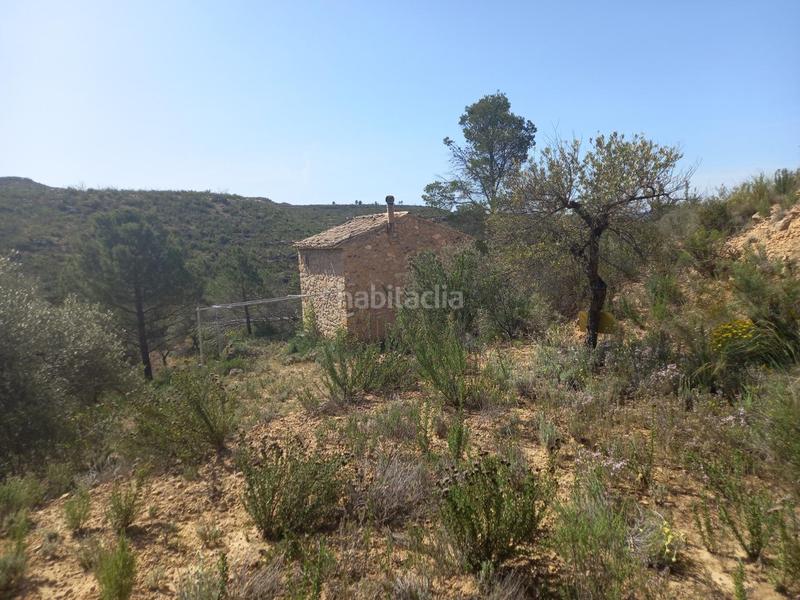 Foto eff1dcdf-fdf4-4cb8-9871-a4fc4a7eb4cd. Propriété dans Vinebre