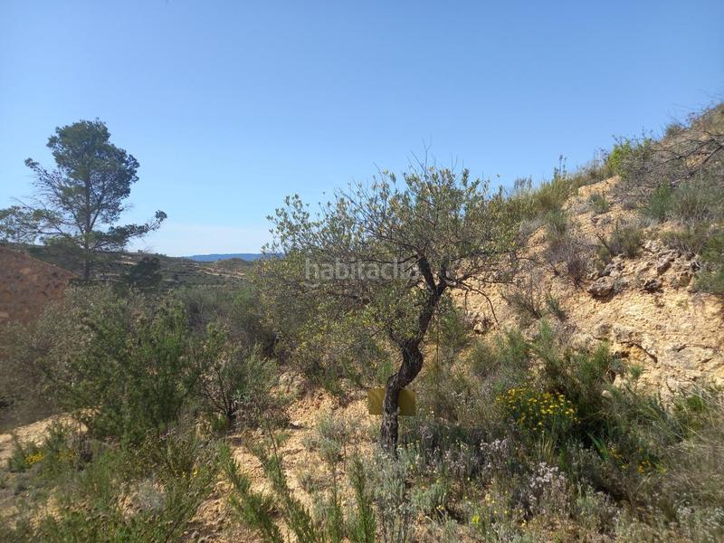 Foto f0938a29-a715-4316-86ab-76038d29ec5e. Propriété dans Vinebre