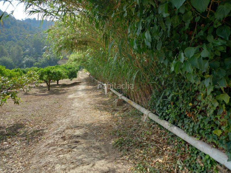 Foto 1b9613d3-11ee-4c9d-9fbf-33a119286e44. Finca rústica a Miravet