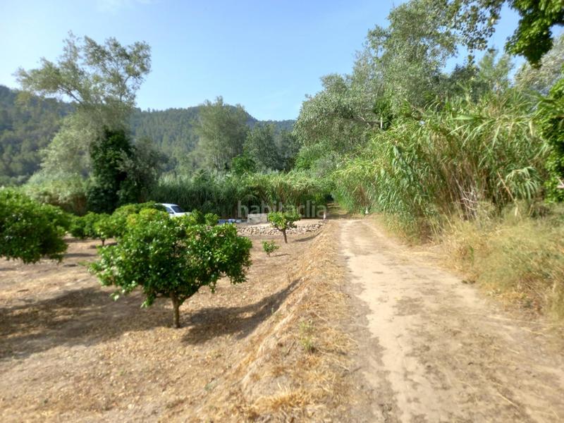 Foto 62904564-2a08-4033-a154-259b7b884e9e. Finca rústica a Miravet
