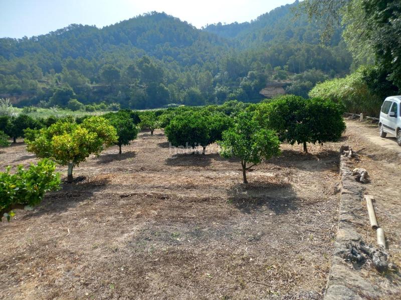 Foto 7b8e7e1c-17db-4dd7-84a4-311a5cb6722e. Finca rústica a Miravet